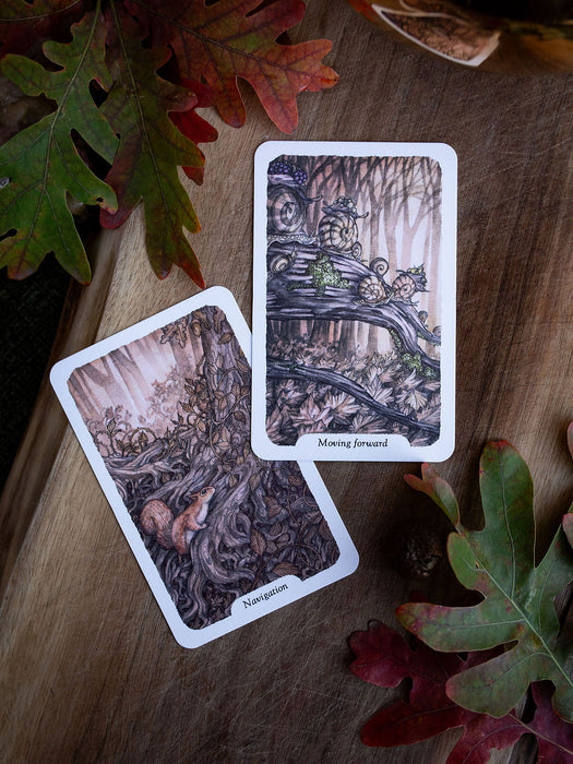 Thistledown Oracle (New edition 2026) - Stephanie Burrows & Adam Oehlers