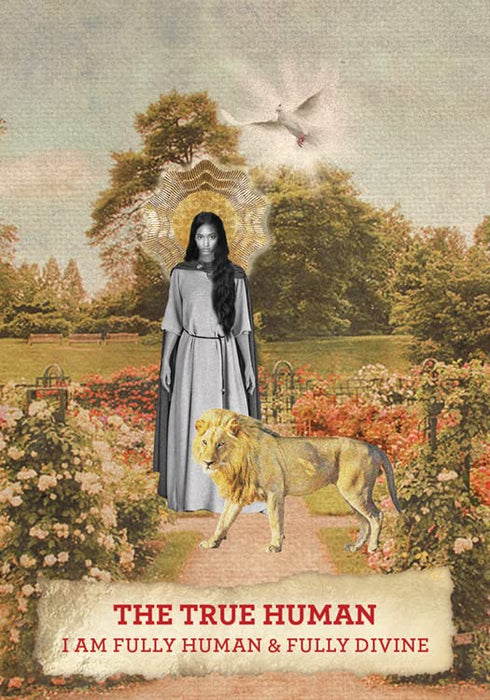 The Mary Magdalene Oracle : A 44-Card Deck & Guidebook of Mary's Gospel & Legend - Meggan Watterson