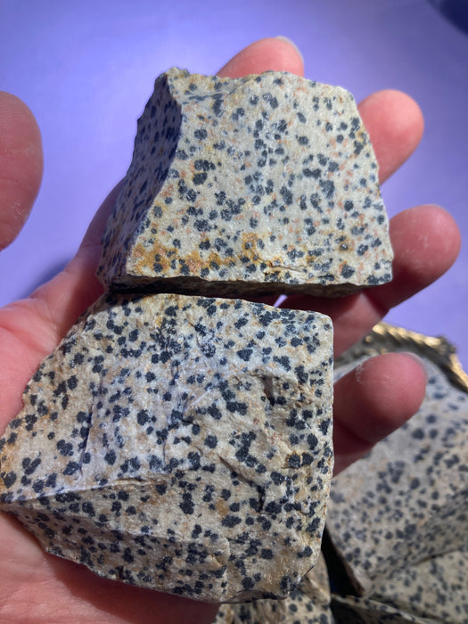 Dalmatian jaspis raakapala 5-8cm