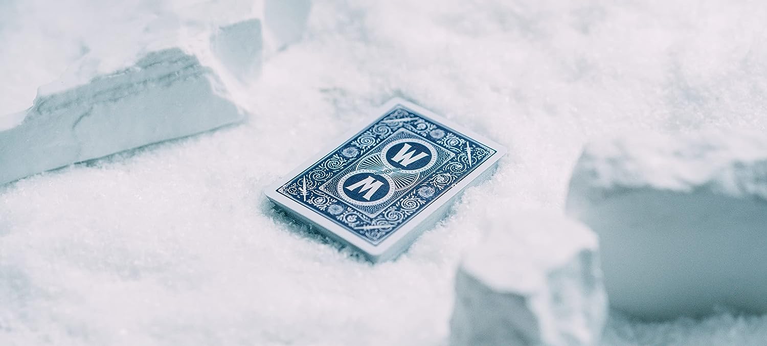 Bicycle World of Warcraft: Wrath of The Lich King Premium Special Edition Playing Cards
