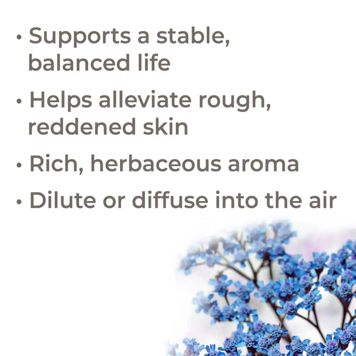 Organic Blue Yarrow eteerinen öljy 5 ml – Plant Therapy