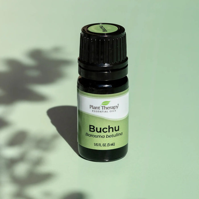 Buchu eteeristen öljyjen sekoitus 5 ml - Plant Therapy
