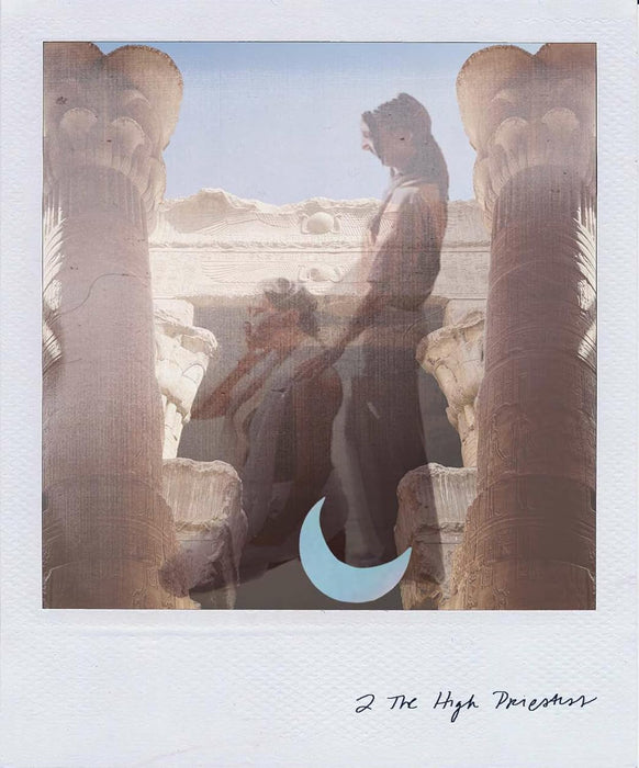 Wild Lands Tarot: Roam the lands and ancient wisdom will be revealed - Leah Shoman