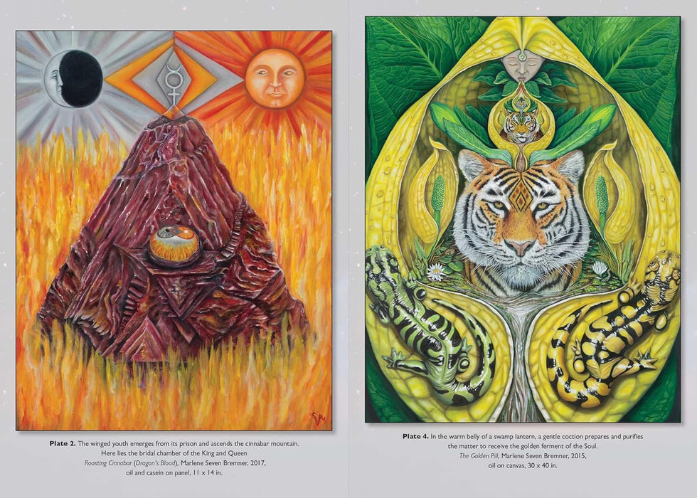 The Hermetic Marriage of Art and Alchemy: Imagination, Creativity, and the Great Work - Marlene Seven Bremner