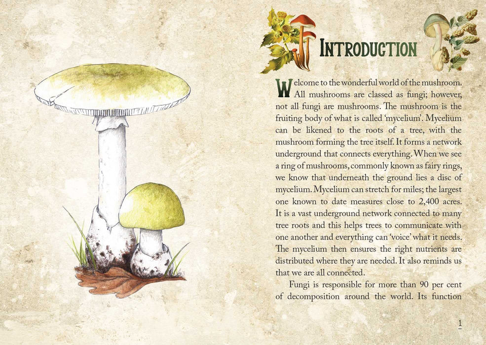 Mushroom Spirit Oracle: (36 Gilded Cards and 112-Page Full-Color Guidebook) - Nicola McIntosh