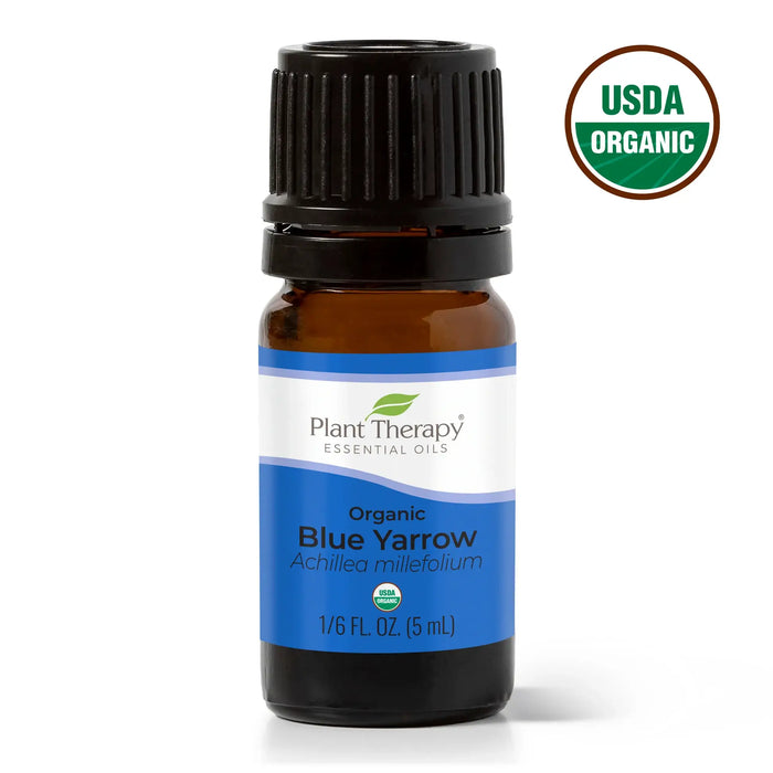 Organic Blue Yarrow eteerinen öljy 5 ml – Plant Therapy