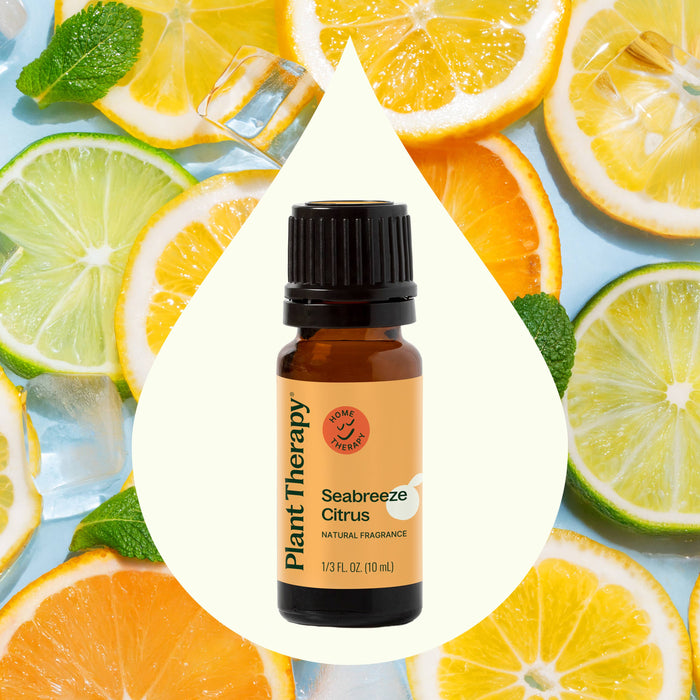Seabreeze Citrus Natural Fragrance 10 ml – Plant Therapy