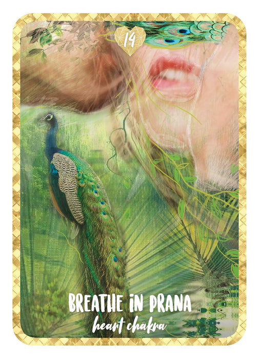 Self Love Oracle: Find Peace and Happiness through the Chakras (36 Full-Color Cards and 144-Page Guidebook) - Akal Pritam