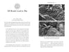 Petroglyphs Of Mu - Carole Nervig - Tarotpuoti