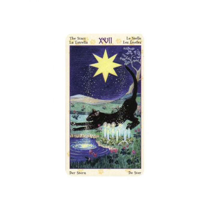 Tarot Of Pagan Cats mini - Tarotpuoti