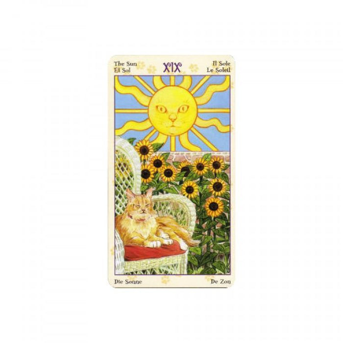 Tarot Of Pagan Cats mini - Tarotpuoti