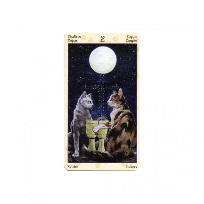 Tarot Of Pagan Cats mini - Tarotpuoti