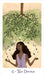 The Harmony Tarot - Harmony Nice (neliön muotoinen laatikko) - Tarotpuoti