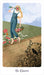 The Harmony Tarot - Harmony Nice (neliön muotoinen laatikko) - Tarotpuoti